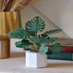 Lovepop Pop-Up Bouquets|Handcrafted Paper Flowers|Paper Monstera Plant DIY Kit