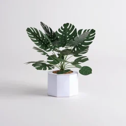 Lovepop Pop-Up Bouquets|Handcrafted Paper Flowers|Paper Monstera Plant DIY Kit
