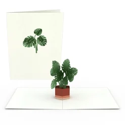 Lovepop Notecards|Just Because|Plants Notecards (Assorted 4-Pack)