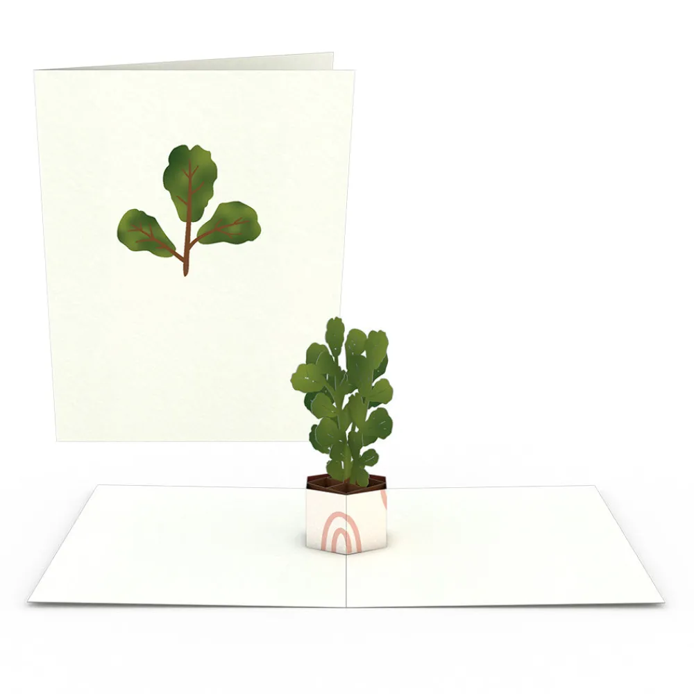 Lovepop Notecards|Just Because|Plants Notecards (Assorted 4-Pack)
