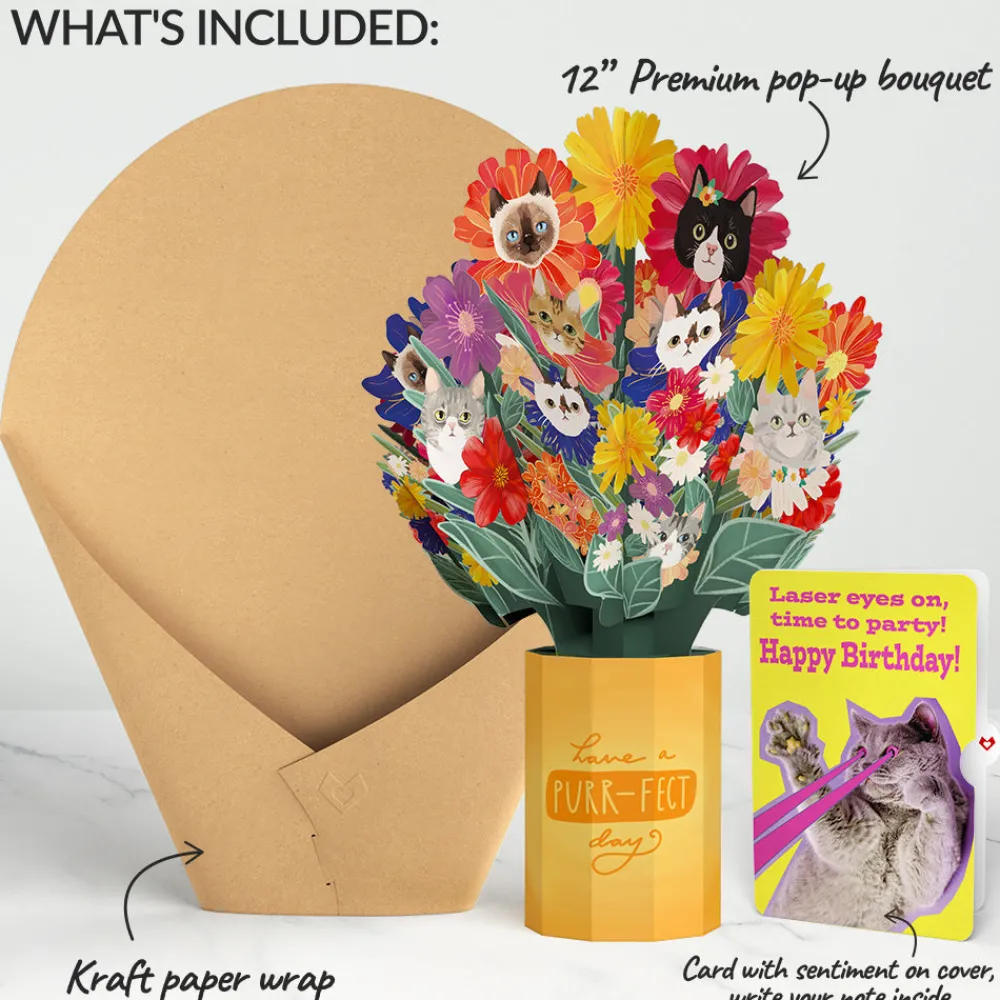 Lovepop Pop-Up Bouquets|Purr-fect Cat Birthday Bouquet and Cat Laser Eyes Sentiment Set
