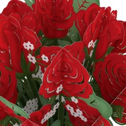 Lovepop Pop-Up Bouquets|Card & Gift Bundles|Red Rose Valentine’s Day Hummingbird Bundle