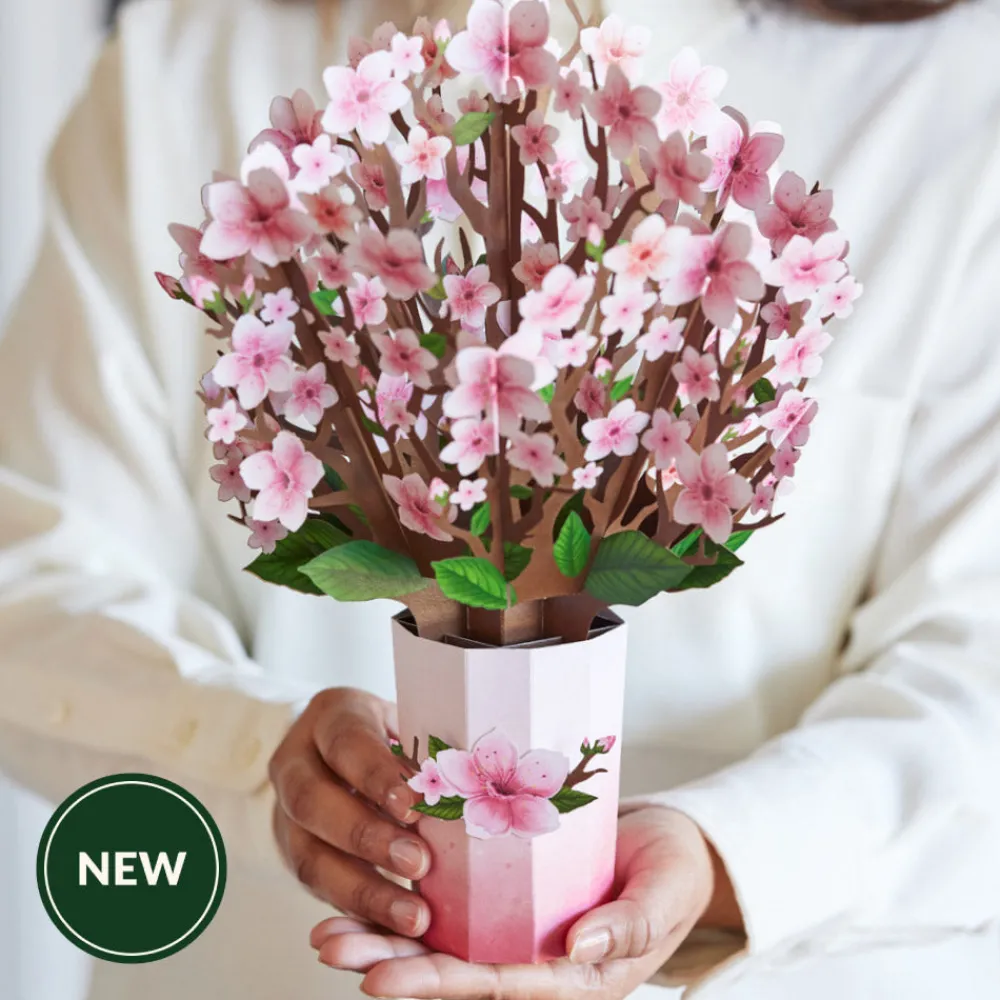 Lovepop Pop-Up Bouquets|Card & Gift Bundles|Sending Sunshine Cardinal Suncatcher Card & Pop-Up Bouquet Bundle