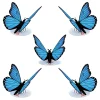 Lovepop Pop-Up Stickers|Kids|Stickerpop™: Blue Morpho Butterfly (5-Pack)