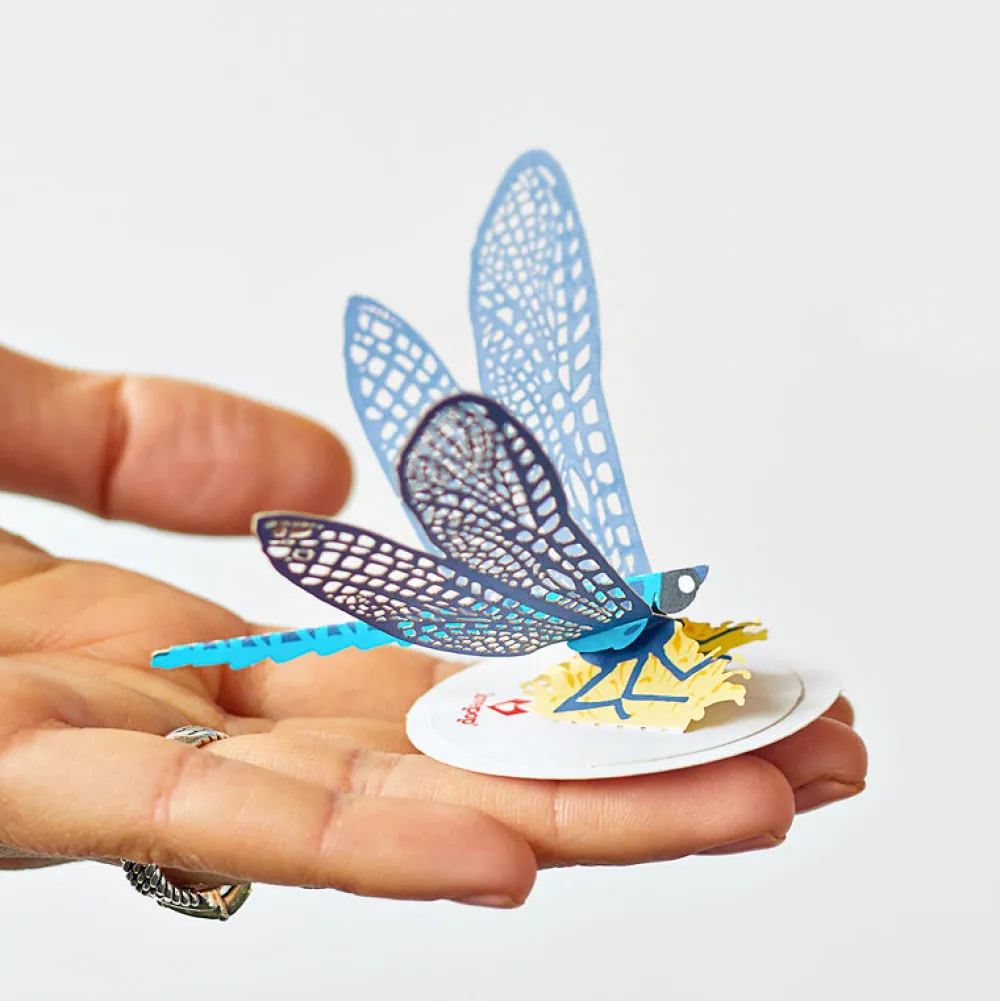 Lovepop Pop-Up Stickers|Kids|Stickerpop™: Dragonfly (5-Pack)