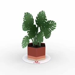 Lovepop Pop-Up Stickers|Kids|Stickerpop™: Monstera (5-Pack)