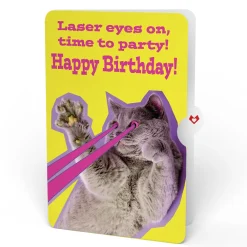 Lovepop Pop-Up Bouquets|Sweet Birthday Wishes Bouquet and Cat Laser Eyes Sentiment Set