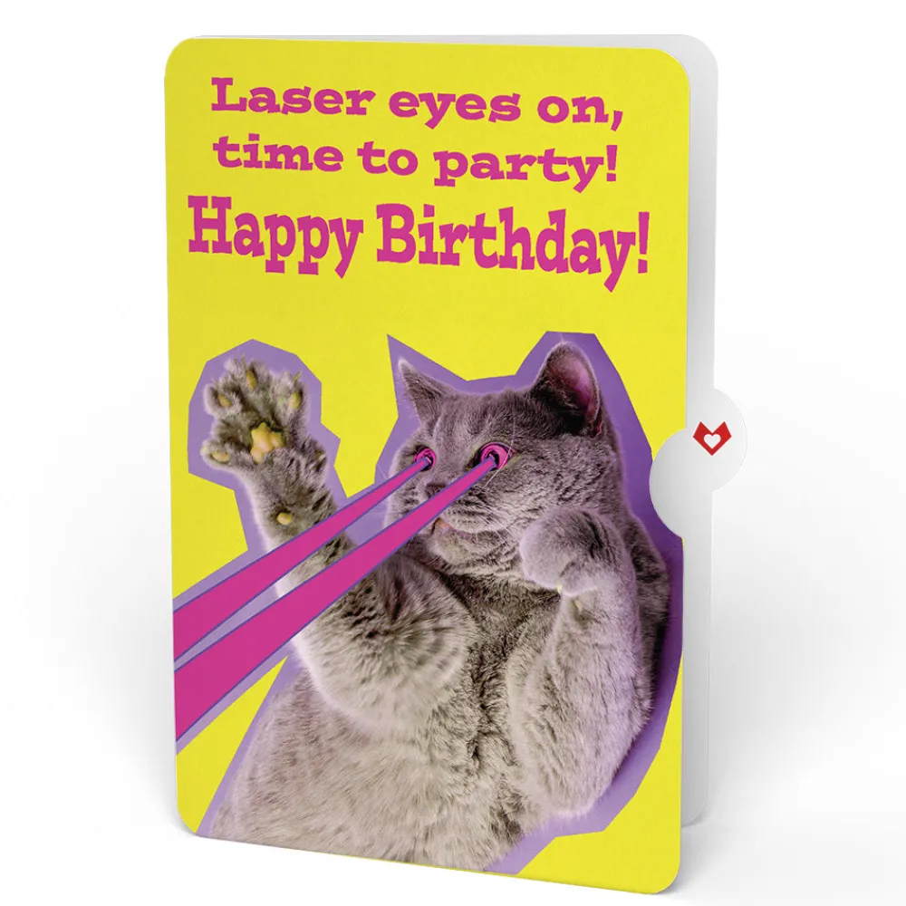 Lovepop Pop-Up Bouquets|Sweet Birthday Wishes Bouquet and Cat Laser Eyes Sentiment Set