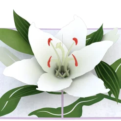 Lovepop Greeting Cards|Sympathy|Sympathy Lily Pop-Up Card