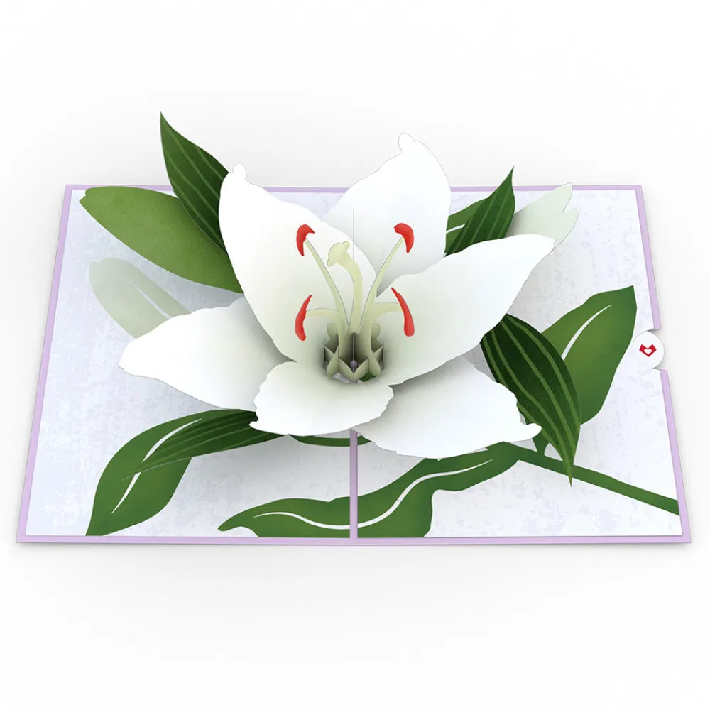 Lovepop Greeting Cards|Sympathy|Sympathy Lily Pop-Up Card
