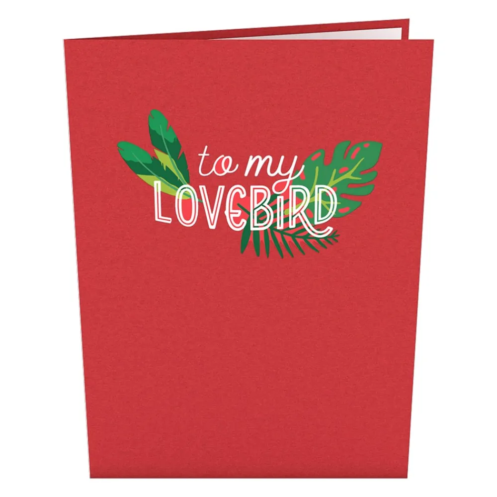 Lovepop Greeting Cards|Valentine'S Day 2/14|To My Lovebird Pop-Up Card