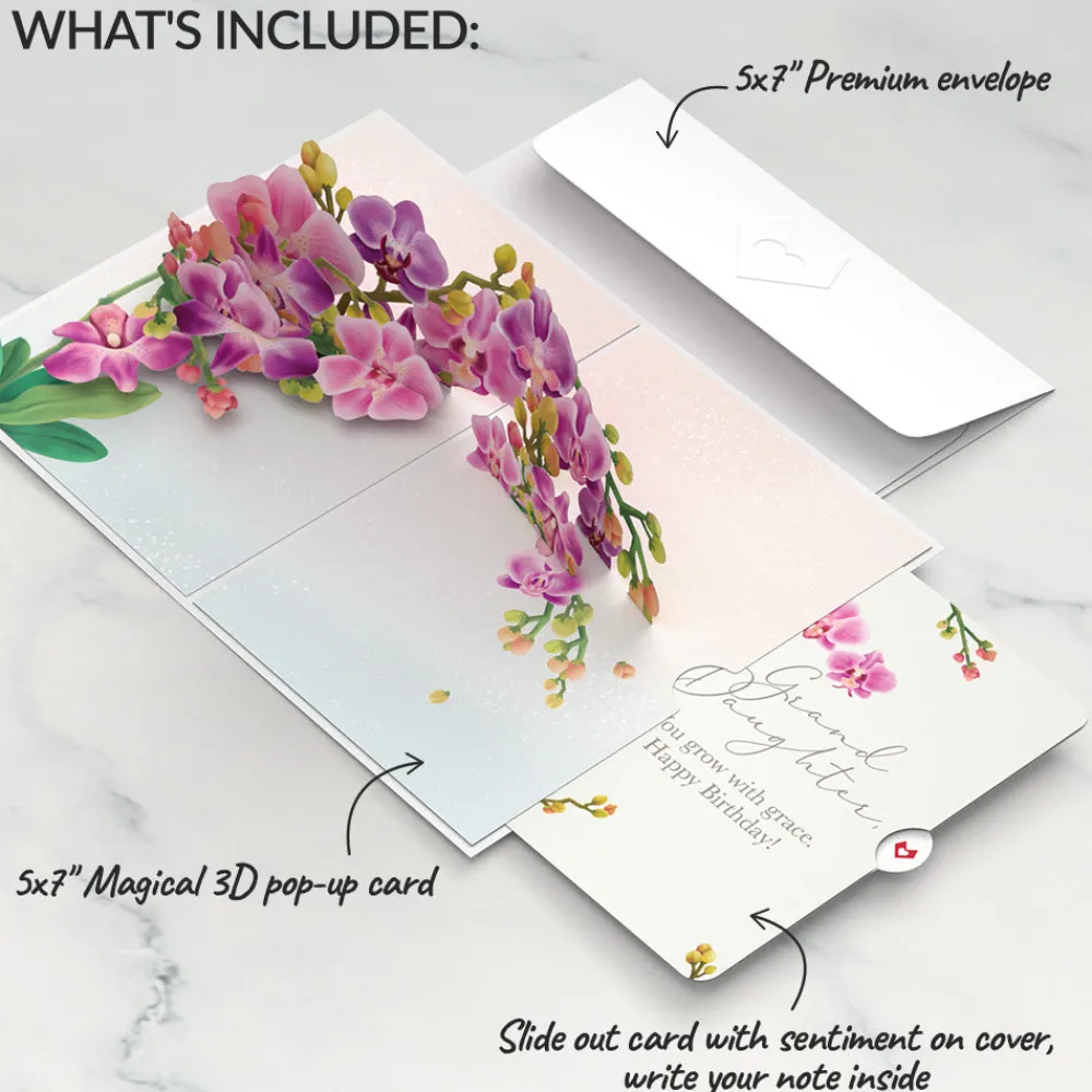 Lovepop Birthday|Watercolor Orchid Birthday Pop-Up Card and Sentiment Set for Granddaughter