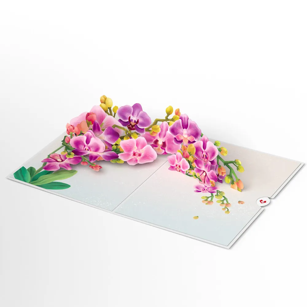 Lovepop Pop-Up Bouquets|Card & Gift Bundles|Watercolor Orchid Pop-Up Card & Bouquet Bundle