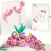 Lovepop Birthday|Watercolor Orchid 60th Birthday Pop-Up Card and Sentiment Set