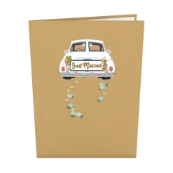 Lovepop Greeting Cards|Congratulations|Wedding Car Pop-Up Card