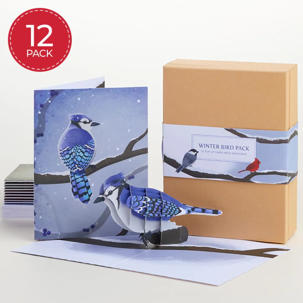 Lovepop Value Packs|Winter Bird Box Set (Assorted 12-Pack): Paperpop® Card