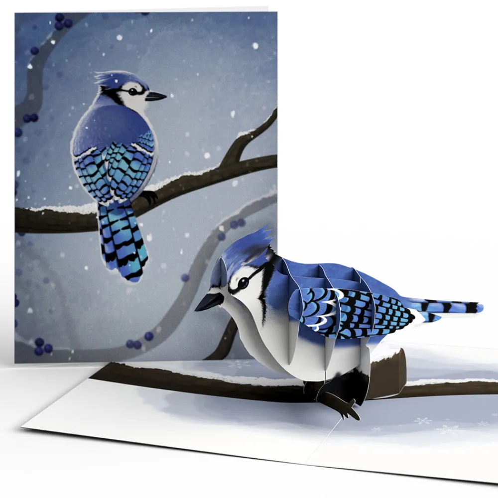 Lovepop Value Packs|Winter Bird Box Set (Assorted 12-Pack): Paperpop® Card