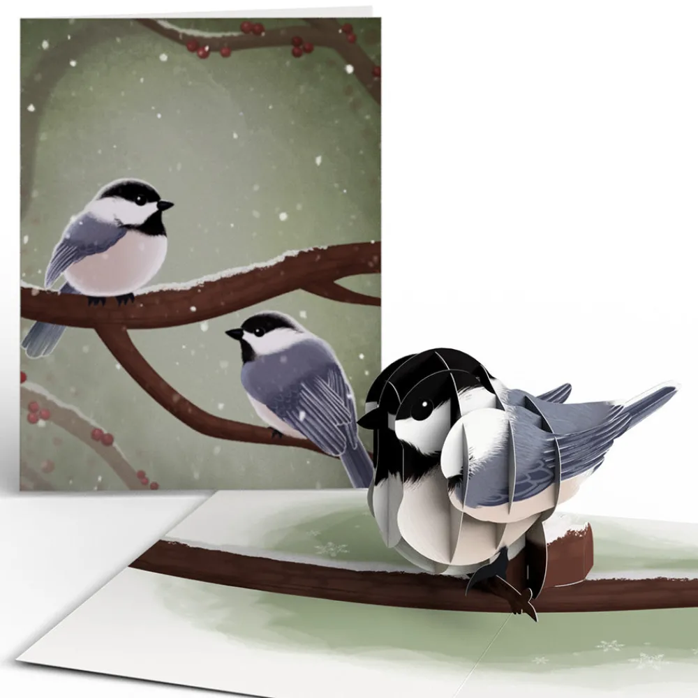 Lovepop Value Packs|Winter Bird Box Set (Assorted 12-Pack): Paperpop® Card