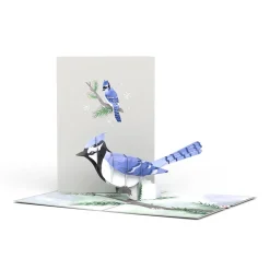 Lovepop Greeting Cards|Just Because|Winter Blue Jay Pop-Up Card