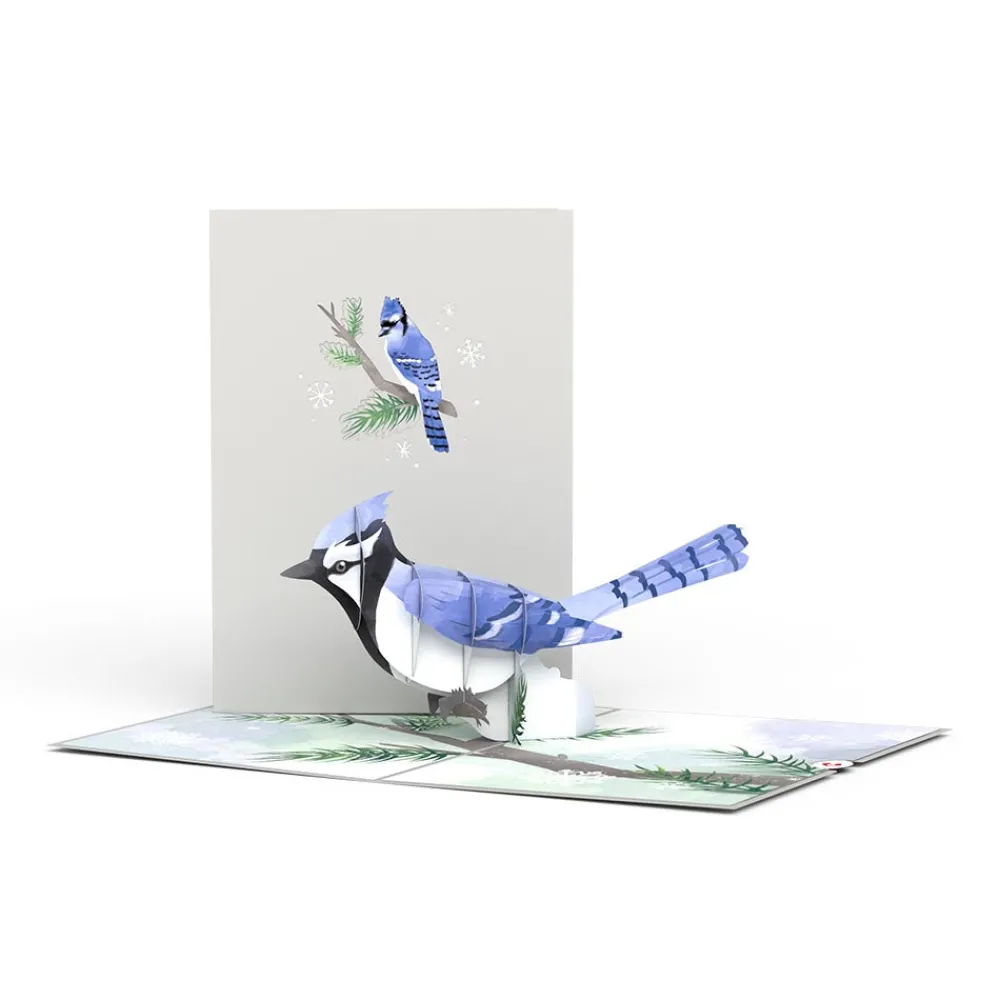 Lovepop Greeting Cards|Just Because|Winter Blue Jay Pop-Up Card