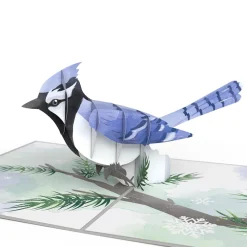 Lovepop Greeting Cards|Just Because|Winter Blue Jay Pop-Up Card
