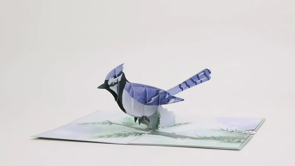 Lovepop Greeting Cards|Just Because|Winter Blue Jay Pop-Up Card