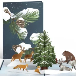 Lovepop Value Packs|Winter Nature 3-Pack