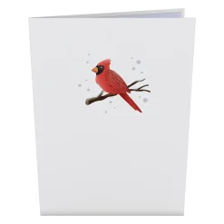 Lovepop Value Packs|Winter Willow Tree Birds 12-Pack
