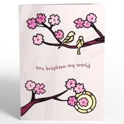 Lovepop Pop-Up Bouquets|Card & Gift Bundles|You Brighten My World Birds Suncatcher Card & Pop-Up Bouquet Bundle