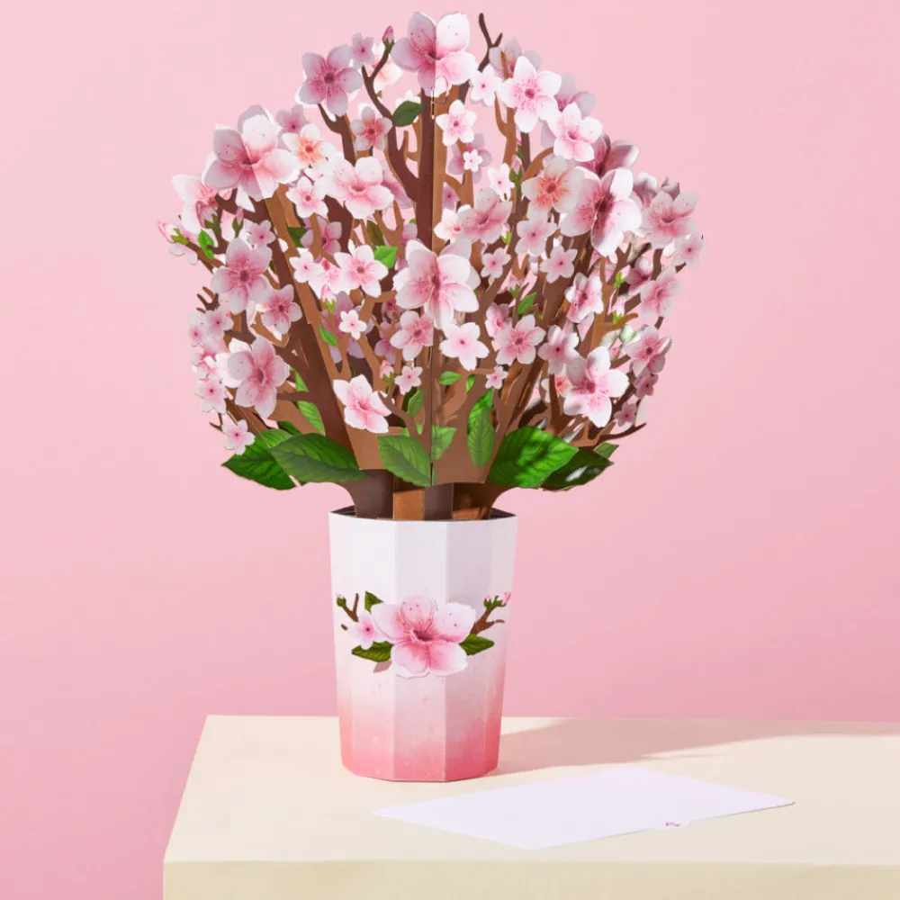 Lovepop Pop-Up Bouquets|Card & Gift Bundles|You Brighten My World Birds Suncatcher Card & Pop-Up Bouquet Bundle