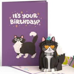 Lovepop Greeting Cards|Birthday|Your Gift Is in the Litterbox Birthday Cat Pop-Up Card