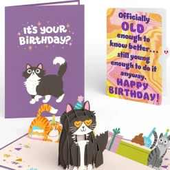 Lovepop Birthday|Your Gift Is in the Litterbox Birthday Cat Pop-Up Card and Sentiment Set