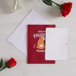 Lovepop Greeting Cards|Anniversary|You’re My Favorite Human Pop-Up Card